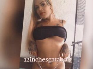 12inchesgatahott