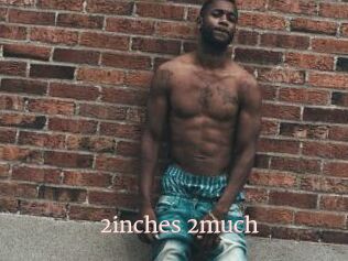 2inches_2much