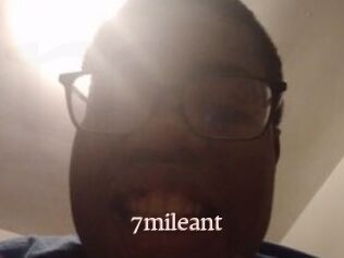 7mileant