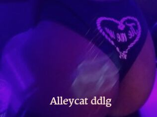 Alleycat_ddlg