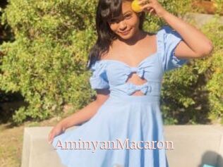 AminyanMacaron