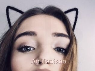 An_Harrison