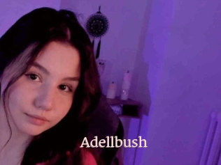 Adellbush