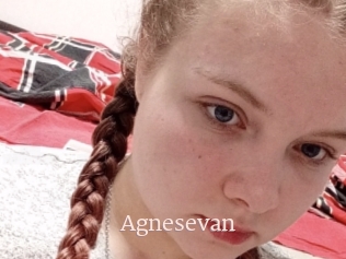 Agnesevan