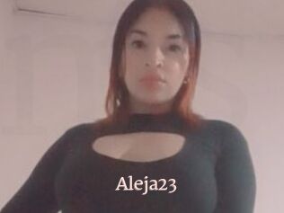 Aleja23