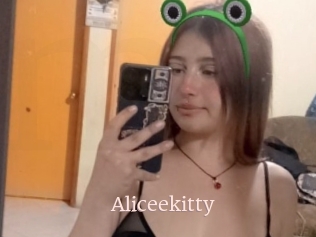 Aliceekitty