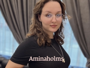 Aminaholms