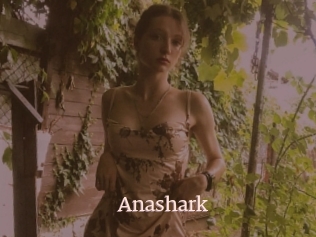 Anashark