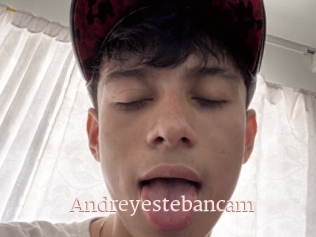 Andreyestebancam