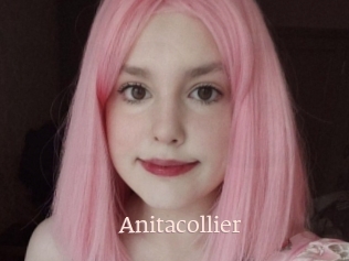 Anitacollier