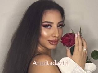 Annitadavid