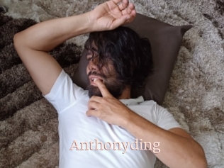 anthonyding Mon Sexe