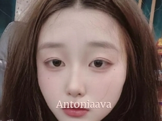 Antoniaava