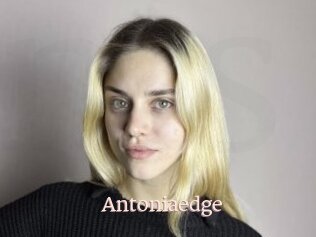 Antoniaedge