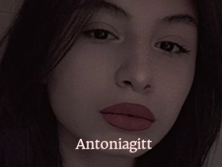 Antoniagitt