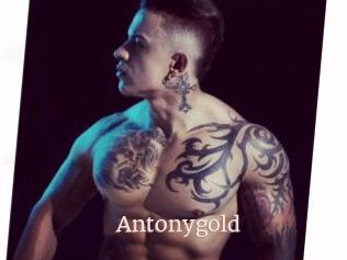 Antonygold