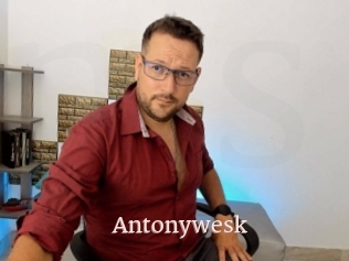 Antonywesk