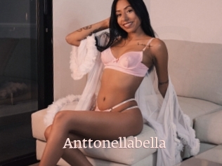 Anttonellabella