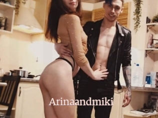 Arinaandmiki