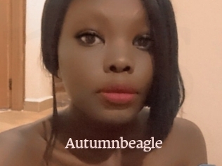 Autumnbeagle