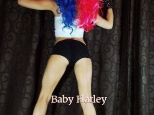 Baby_Harley