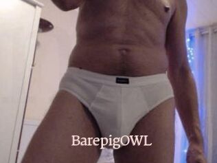 BarepigOWL