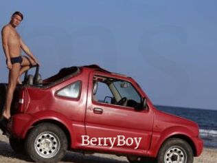 BerryBoy