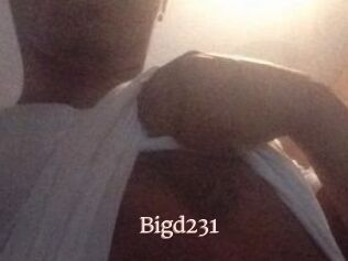 Bigd231