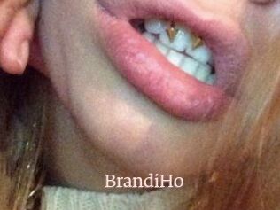 BrandiHo