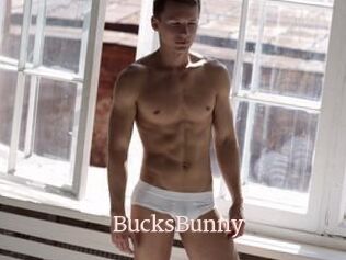 BucksBunny