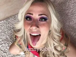 BunnyRabbit