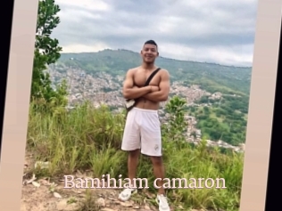 Bamihiam_camaron