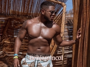 benjamincol Mon Sexe