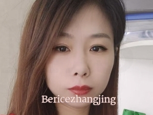 Bericezhangjing