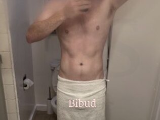 Bibud