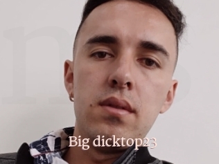 Big_dicktop23