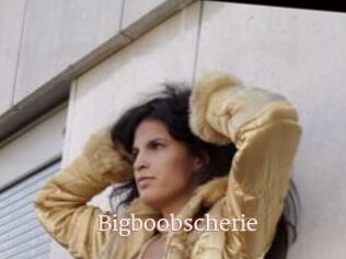 Bigboobscherie