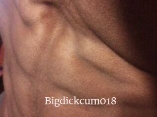 Bigdickcum018