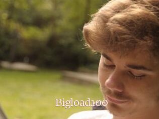 Bigload100