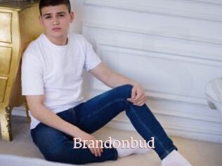 Brandonbud