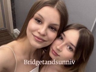 Bridgetandsunniv