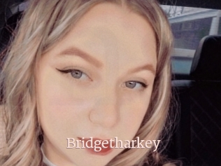 Bridgetharkey