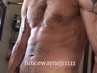 Brucewaynejr1111