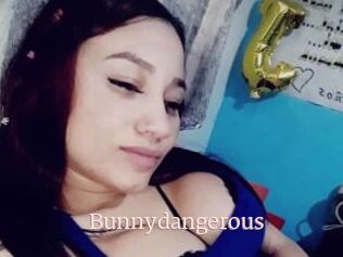 Bunnydangerous