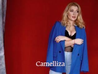 Camelliza