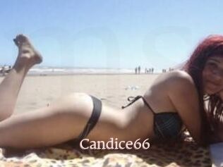 Candice66