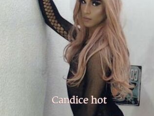 Candice_hot