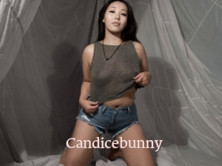 Candicebunny