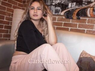Candieflowers