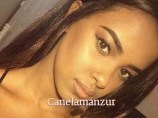 Canelamanzur